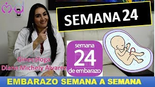 EMBARAZO SEMANA 24 EMBARAZO SEMANA A SEMANA POR GINECOLOGA DIANA ALVAREZ [upl. by Hickie790]