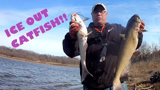 Ice Out CATFISH SUCCESS with Nightcrawlers [upl. by Saxon]