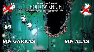 Jardines de la Reina  Hollow Knight Multiplayer pero hacemos todo AL REVÉS  Ep 9 [upl. by Oniliuqnart]