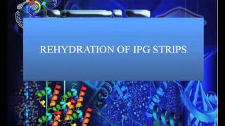 Lab session 2 2 Protein pre fractionation using Off gel fractionator [upl. by Sirc]