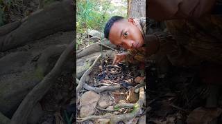 alanhdva trap bushcraft alanhdva [upl. by Freberg]