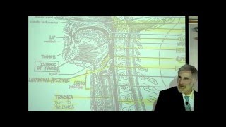 DIGESTIVE SYSTEM PART 2 PHARYNX HEAD amp NECK by Professor Fink [upl. by Tyrrell811]