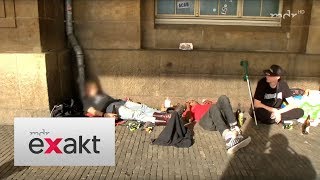 Obdachlose Jugendliche betteln  Exakt  MDR [upl. by Onairam]