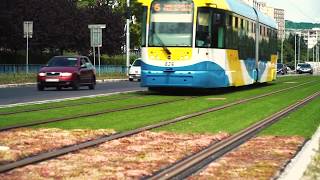 Lawns and flowers between tram tracks reduced traffic noise in Košice Slovakia [upl. by Tiersten]