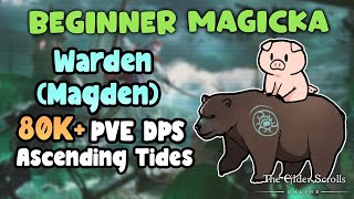 ESO Beginner Magicka Warden Magden 80k PVE DPS Build Ascending Tides DLC [upl. by Tnomyar]