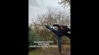 Numquam DesperareLone FighterMartial Arts Training in Nature 4 [upl. by Eimyaj956]