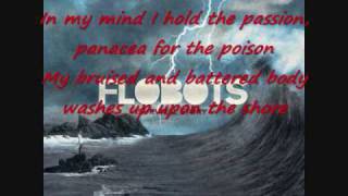 Panacea for the Poison  Flobots with lyrics [upl. by Eiznyl]