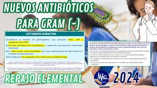 RM 24 Antimicrobianos Nuevos antibióticos para Gram  Est M Y C [upl. by Ahsyak]