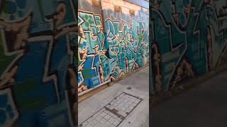 Street Art Graffiti Lane Legal city wall paintings laneway concreteart permits shorts [upl. by Auoz]