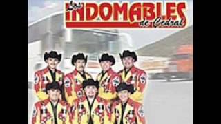 Los Indomables de Cedral  he ganado al perderte [upl. by Haynor915]