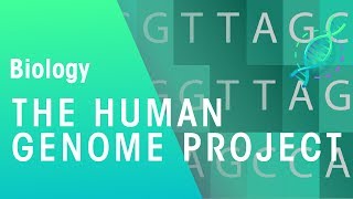 The Human Genome Project  Genetics  Biology  FuseSchool [upl. by Sedberry725]