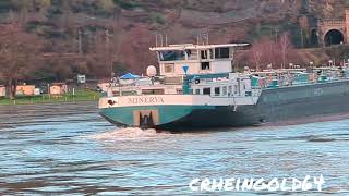 Rheinschifffahrt an der Loreley Zu Tal Fahrer driften durch die Kurve im Dez2023 bei Hochwasser [upl. by Germaun]