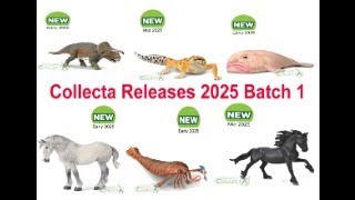 Collecta 2025 Released Batch 1 😊😍 [upl. by Bel717]