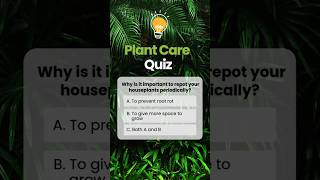 Plant Master Quiz 🤓 Know your plants inside and out plantcare plants [upl. by Zetneuq463]