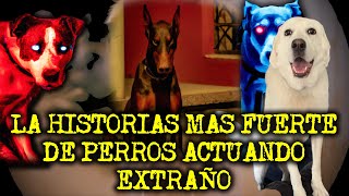 LA HISTORIA MAS FUERTE QUE HE CONTADO DE PERROS ACTUANDO COMO HUMANOS [upl. by Emmye]