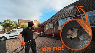 My first time pressure washing a WHOLE roof ended in DISASTER [upl. by Esenej]