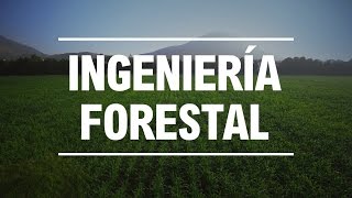 Estudia Ingeniería Forestal en la UNALM [upl. by Darb]