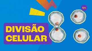 Entenda a DIVISÃO CELULAR  Mitose e Meiose [upl. by Sama457]