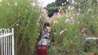 SLに乗れる！野辺山SLランド 4歳児がミニ鉄道を運転！ [upl. by Airekal]