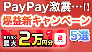 10月コレがヤバすぎる‼︎PayPay新キャンペーン5選 [upl. by Suchta]