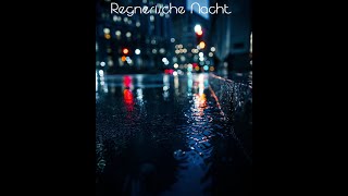 Regnerische Nacht Hörspiel Mit tollen Gastsprechern [upl. by Billi]