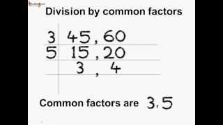 Math  How to find HCF Using Division By Common Factors Method  English [upl. by Udela]