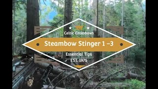 Steambow Stinger 2 pistol crossbow Essential Tips and Tricks [upl. by Barn894]