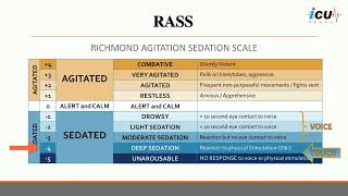 Richmond AgitationSedation Scale RASS [upl. by Eehsar44]