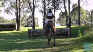 Penny Ledner riding CLEDDAU VONZIPPER 165 EvA105 Sydney International Horse Trials 2013 [upl. by Otrebla]