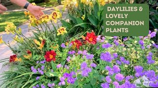 Follow Up UT Gardens a Year Later—PLUS—Companion Plants for Daylilies [upl. by Ambie]