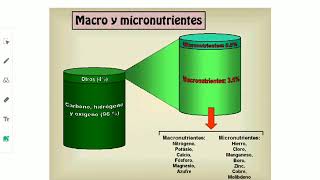 Nutrición mineral macronutrientes y micronutrientes [upl. by Casimir379]