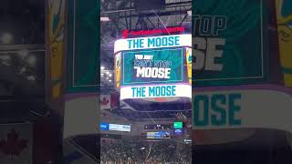 Halifax Mooseheads first home opener goal [upl. by Notnef72]