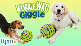 Pup Reviews the Wobble Wag Giggle Ball Dog Toy from Allstar Innovations [upl. by Hutchison]