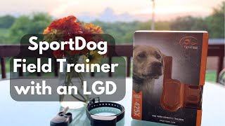 SportDog Field Trainer 425x Review with a Karakachan LGD [upl. by Duff]