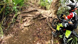 Serow 225  CRF 150L lost in Jurassic park trail Cebu City [upl. by Leummas601]