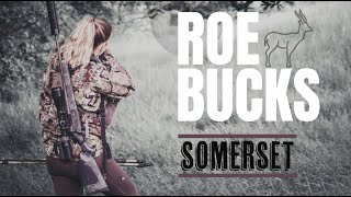 Deer Stalking UK  Roe Bucks Somerset  A Deer Hunting Story 2024  Kryptek UK [upl. by Oznofla]