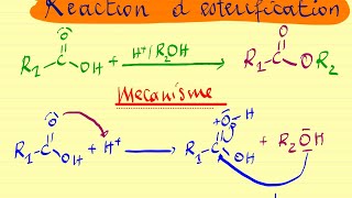 Réaction d’estérification [upl. by Pierpont]