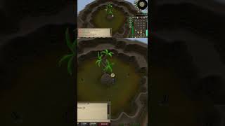 Has hespori been this good to youosrs osrsshorts osrsironman osrs2007 oldschoolrs [upl. by Clinton]