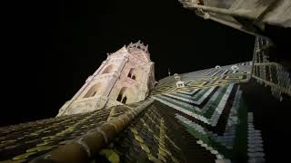 Stille Nacht  Stephansdom Wien  23122019 [upl. by Rafe]