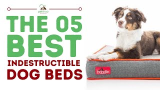 The Best Indestructible Dog Beds [upl. by Zinnes309]