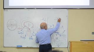 dvelopment of the tracheoesophageal tube and larynx PART 1 [upl. by Swehttam]