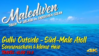 Tauchen auf den MALEDIVEN  Gulhi Outside quotSonnenschein amp kleine Haiequot 4K 🦈 SüdMale Atoll [upl. by Redle]