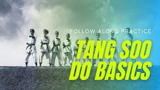 How to Drill Basic Tang Soo Do Techniques [upl. by Ronal]