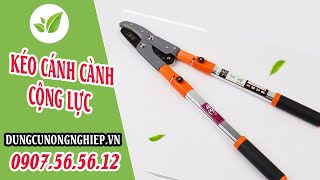 Kéo cắt cành lớn cộng lực HM012 DungCuNongNghiepVn  0888 542 612 [upl. by Euqinaj414]