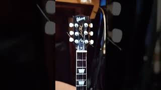 Gibson Les Paul Standard 60s [upl. by Gyasi123]