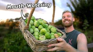 Growing Tomatillos from SEED to HARVEST and How To Use Them 🤤 [upl. by Carpio]