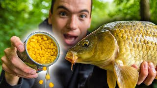 How To Catch Carp With Corn Easy and cheap bait for carp fishing [upl. by Nyra]