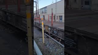 DB Cargo MZ 1459 GM Diesel Engine DB train spotting danish zug old diesel viral fyp [upl. by Arita]