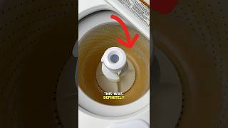 I Saved This Washing Machine cleaning satisfying cleaningtips [upl. by Aicemed]