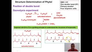 Lecture 10 Phytol [upl. by Nickie]